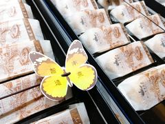 -好一朵茉莉花(老门东店)