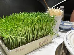 -领鲜天下·焗海鲜·花胶鸡(天目里店)