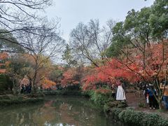 -秋霞圃
