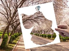 -山东师范大学(千佛山校区)