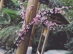 -张家港金凤凰度假村温泉