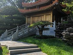 -深圳国际园林花卉博览园