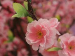 -首开·龙湖成都西宸天街