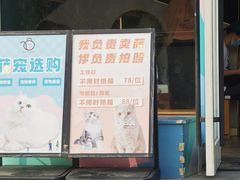 -飞行喵MR PILOT|猫舍·猫咖(静安大融城店)
