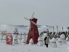 -塞罕坝国家级自然保护区