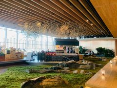 -Seesaw Coffee(朝阳大悦城店)