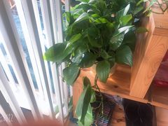 -SAH健身私教工作室(紫东店)