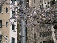 -徐家汇源景区-衡山公园