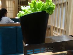 -九田家黑牛烤肉料理(荣成九龙城店)