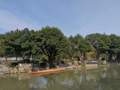-光明港公园