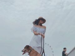 -奉贤海滩