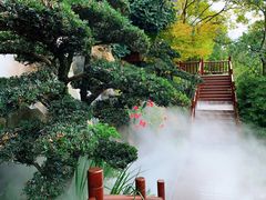 -七彩云南古滇温泉山庄