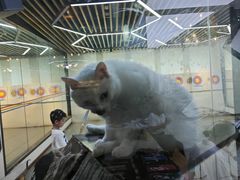 -弓舍射箭俱乐部(高新总店)