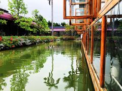 -花溪雨·森林餐厅(石基店)