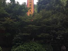 -杭州黄龙洞