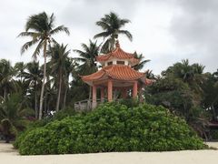 -东郊椰林