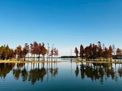 -贡湖湾湿地公园