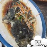 称职的三亚海鲜大餐✨林姐香味海鲜✨
