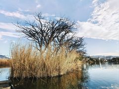 -大理洱源西湖景区