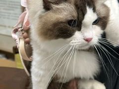 -瑞鹏宠物医院·普外科·影像科·皮肤科(城市山谷分院)