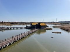 -宁波杭州湾国家湿地公园