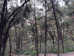 -云龙湖旅游景区