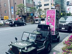 -秋叶原电器街