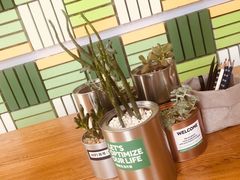 -Green Option(官舍店)