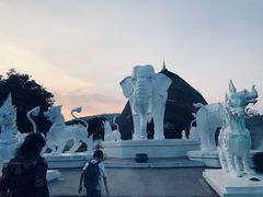 -清迈夜间动物园