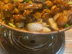 -蛙麻蛙辣炭火蛙锅(南环大街店)