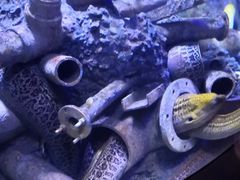 -成都浩海立方海洋公园