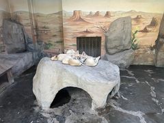-上海野生动物园