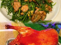 -同喜烤鸭店(光芒店)