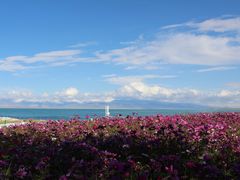-青海湖国家重点风景名胜区