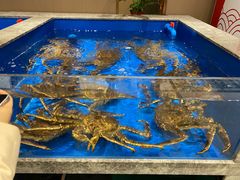 -帝皇海海鲜豆捞(桐泾商务广场店)