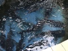 -稻香村鱼庄