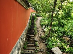 -阳台山自然风景区