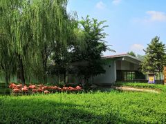 -辛玛王国游乐园