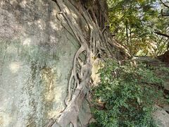 -草庵摩尼教遗址公园