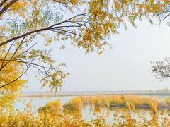 -野鸭湖国家湿地公园