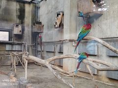 -大连森林动物园