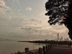 -深圳湾公园(南山区)