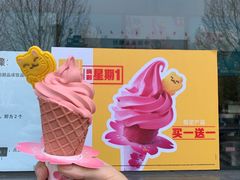 樱花华夫筒-麦当劳(石家庄乐活广场店)