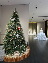 -MuseMarry婚纱(前海嘉里中心店)