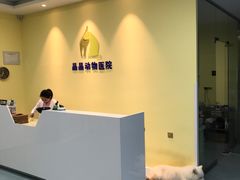 -瑞鹏宠物医院·爱宠堂·骨外专科(西荷分院)