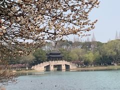 -尚湖风景区