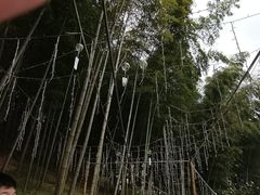 -宁波浙东大竹海景区