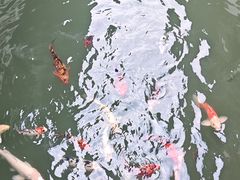 -张家港凤凰山景区恬庄古街