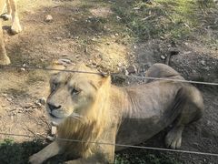 -泉州海丝野生动物世界