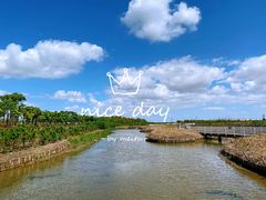 -春花秋色城市公园